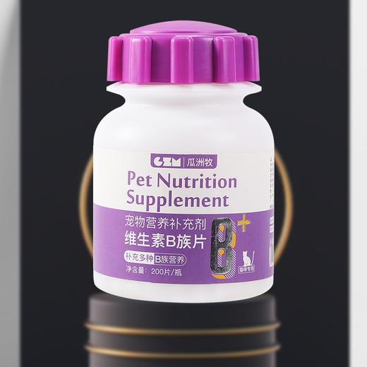 瓜洲牧 宠物猫咪专用维生素B族片营养补充剂强化免疫力200片/瓶 商品图0