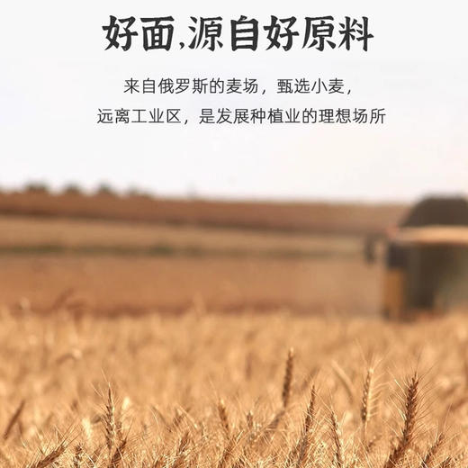 俄罗斯进口马克发牌高级小麦面粉2kg 商品图3