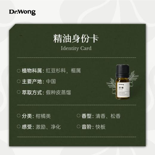 香榧5ml 植物香薰精油 商品图2
