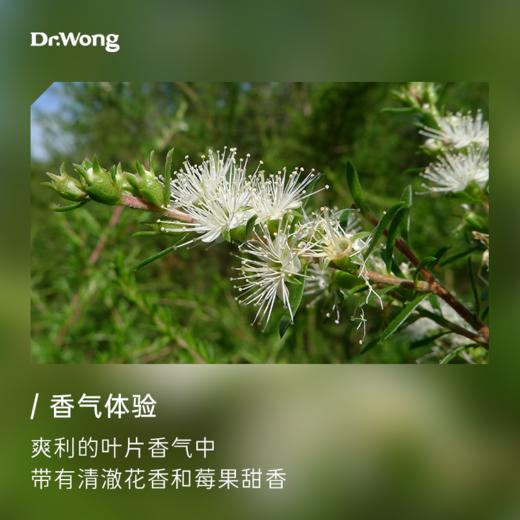昆士亚 植物香薰精油 商品图1