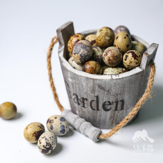 生态鹌鹑蛋份额 | 绿家自产* Share of eco-quail egg | Self-production 商品图2