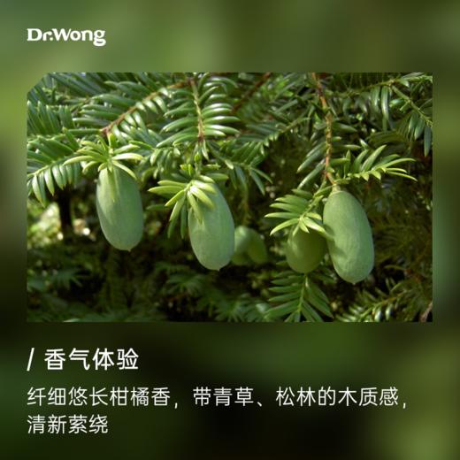香榧5ml 植物香薰精油 商品图1