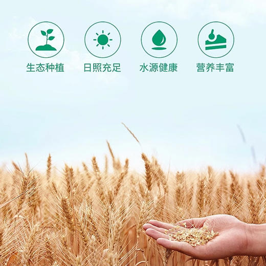 俄罗斯进口马克发牌高级小麦面粉2kg 商品图2