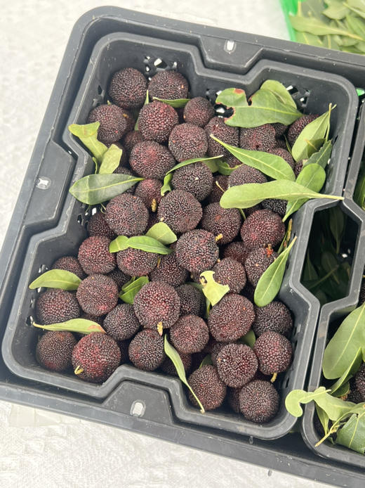 【云南高山✈️杨梅——口感浓郁、鲜味十足、杨梅风味浓郁！当季时令 商品图6