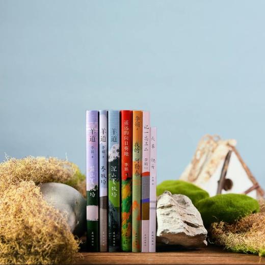 我的阿勒泰/遥远的向日葵地/冬牧场 李娟作品合集 中国当代散文随笔 花城出版社 商品图6