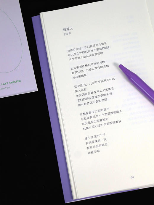 《日落不可描述》 现当代诗歌 生日礼物 赠CD诗明信片 商品图6