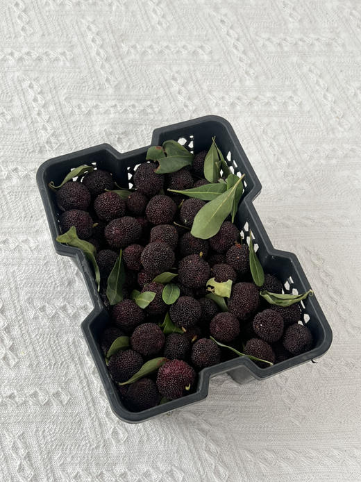 【云南高山✈️杨梅——口感浓郁、鲜味十足、杨梅风味浓郁！当季时令 商品图2