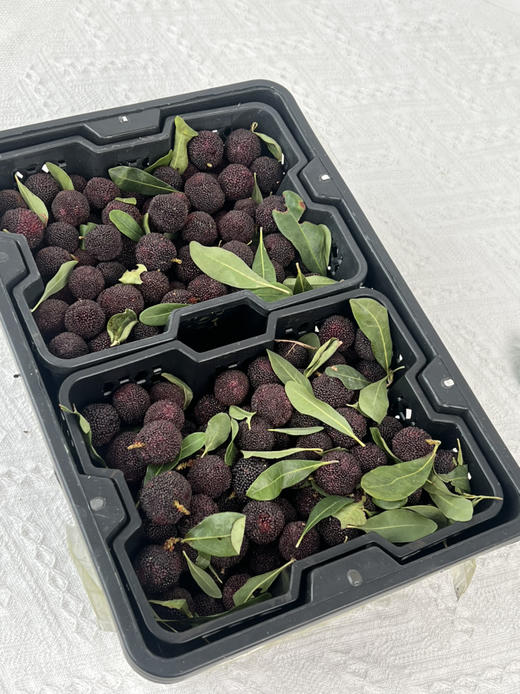 【云南高山✈️杨梅——口感浓郁、鲜味十足、杨梅风味浓郁！当季时令 商品图8