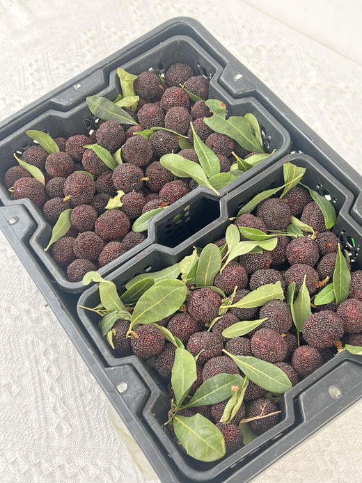 【云南高山✈️杨梅——口感浓郁、鲜味十足、杨梅风味浓郁！当季时令 商品图7