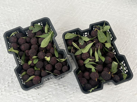 【云南高山✈️杨梅——口感浓郁、鲜味十足、杨梅风味浓郁！当季时令 商品图1