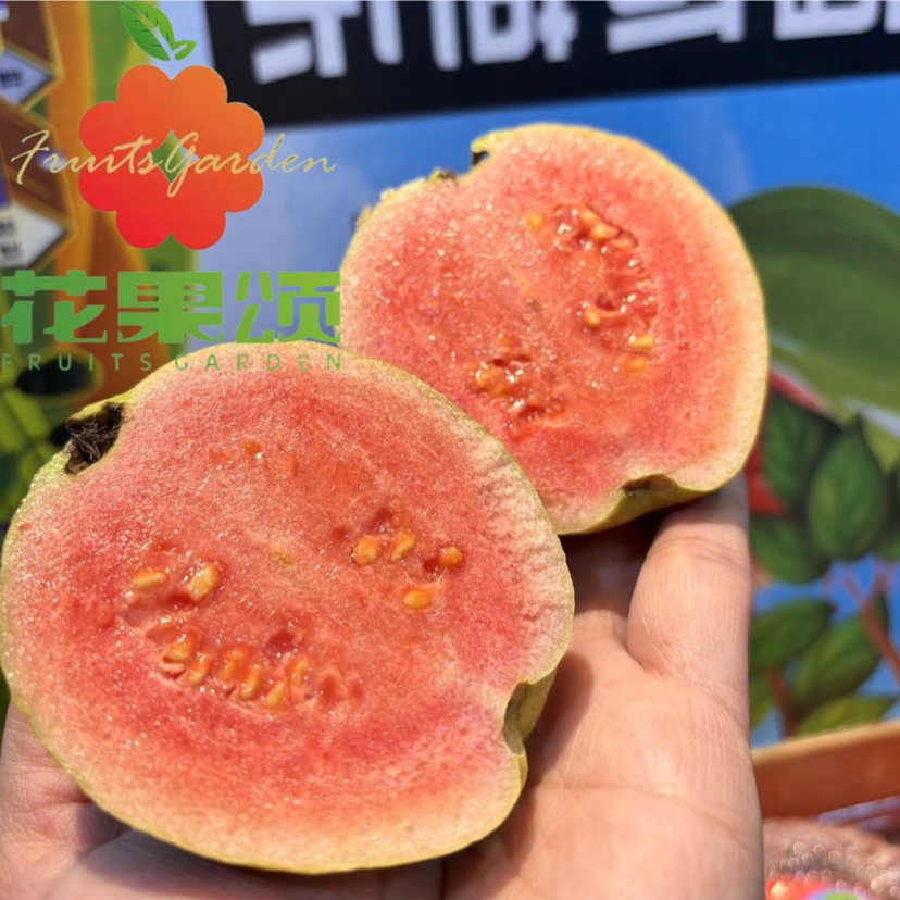 西瓜红心芭乐一盒（2个）