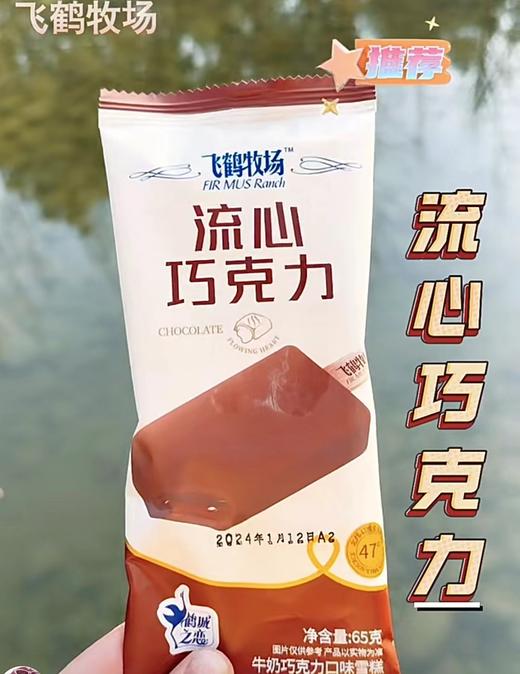 飞鹤-流心巧克力 商品图0