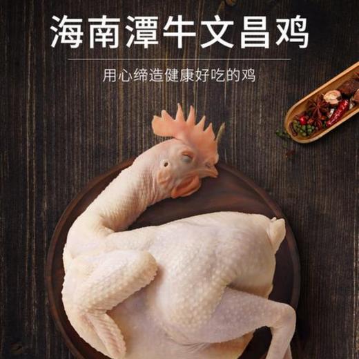 潭牛冰冻文昌鸡1kg 商品图3