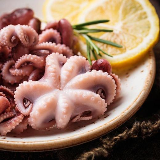 小章鱼 600±15g 商品图3