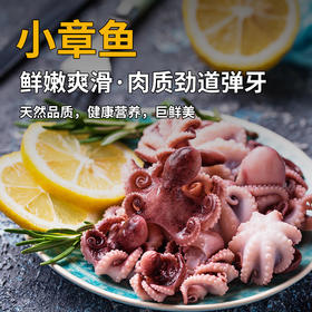 小章鱼 600±15g