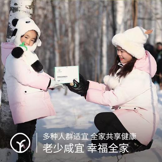 【有机】浓缩白桦树汁1盒（50ml*8支），0农残检出 商品图3