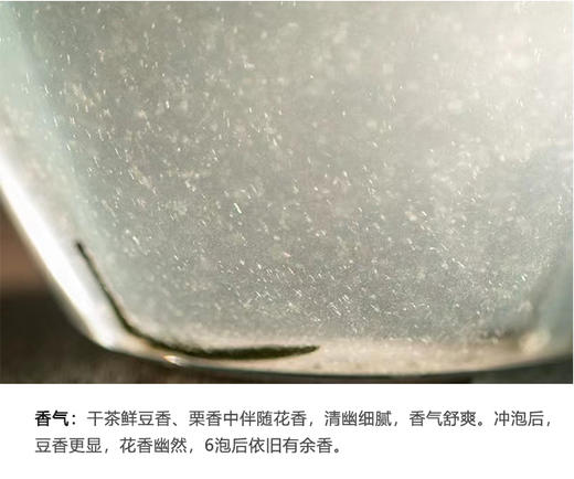 野生绿茶 | 野为【2025年明前头采】明前手工绿茶 纯野生茶50g/罐 商品图3