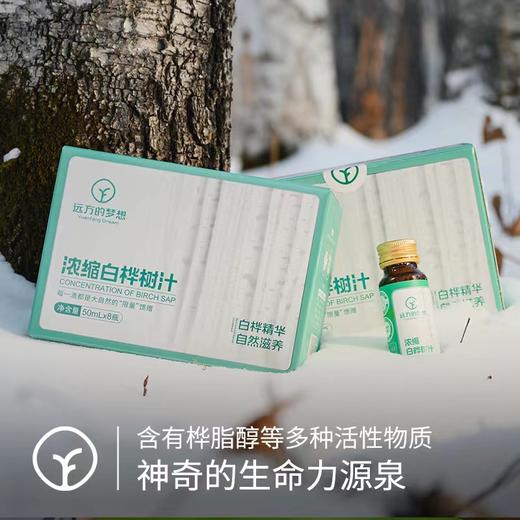 【有机】浓缩白桦树汁1盒（50ml*8支），0农残检出 商品图1