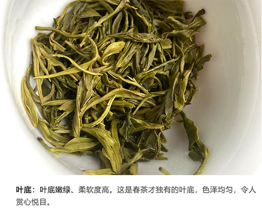 野生绿茶 | 野为【2025年明前头采】明前手工绿茶 纯野生茶50g/罐 商品图5
