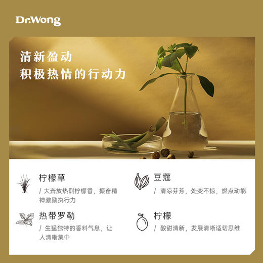 松花C3 七色脉轮植物香薰精油 商品图1