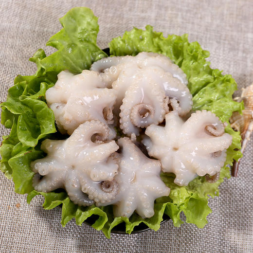 小章鱼 600±15g 商品图4