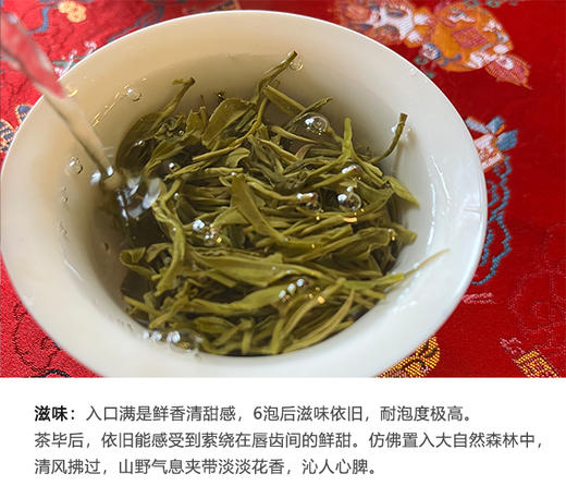 野生绿茶 | 野为【2025年明前头采】明前手工绿茶 纯野生茶50g/罐 商品图4