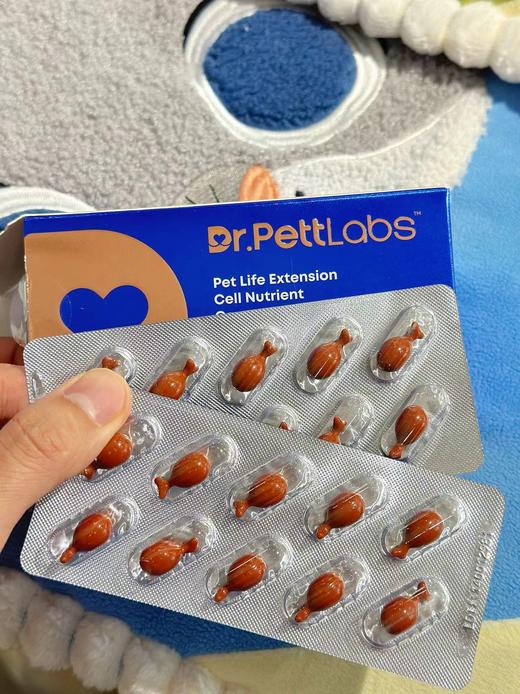 加拿大原装DR.pettLabs宠物延寿细胞营养素N M N 抵抗衰老养神经改善心脏肝肾损伤辅酶Q10 60粒 商品图2