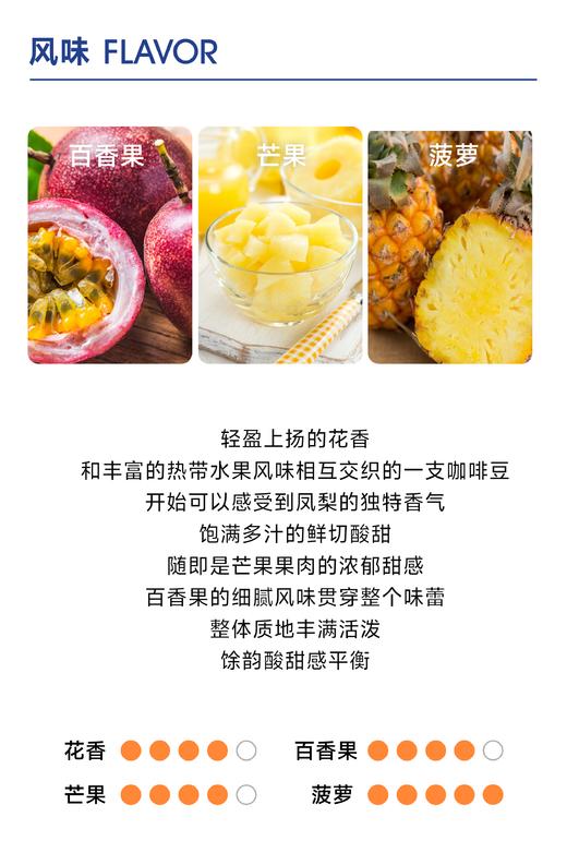 萨维奇光环｜热带水果花茶风味 商品图2
