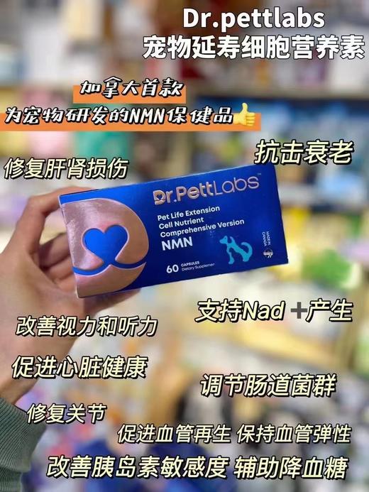 加拿大原装DR.pettLabs宠物延寿细胞营养素N M N 抵抗衰老养神经改善心脏肝肾损伤辅酶Q10 60粒 商品图1