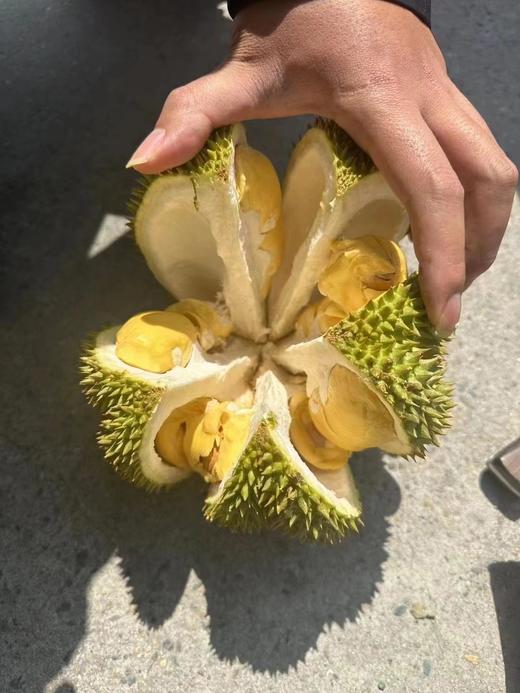 【小猫托曼尼】泰国托曼尼榴莲到货~她的榴莲味是非常的浓郁，这是榴莲味很重的一款榴莲，香味甜度都非常不错，【需要当天开的成熟的榴莲，可以私信客服～不要生劈喔！】 商品图4