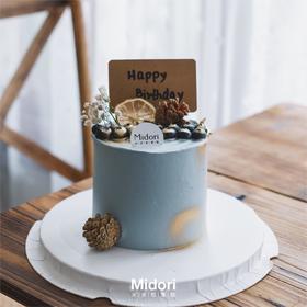 森系蓝莓风 | 精致