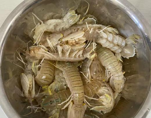 舟山 皮皮虾  码头直发 商品图2