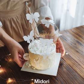 蝶舞紫罗 | 纯白系