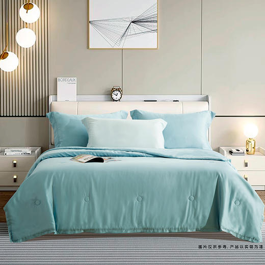 中信银行专供 鑫缘 
可水洗夏凉被 BFZ2023 商品图0