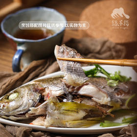 野生东山岛黄鸡鱼 | 合作生产 * Wild Dongshan Island Yellow chicken fish | Coproduction