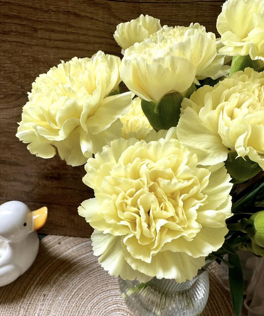 国产花材-【康乃馨】黄色 商品图0