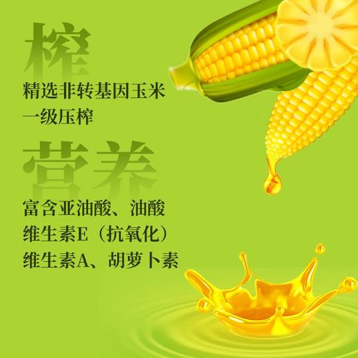 狮球唛玉米油500ml 商品图2