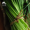 生态山东蒜薹/蒜苔（赠送半斤/1斤） | 合作生产*Eco-young garlic shoot | Coproduction 商品缩略图4