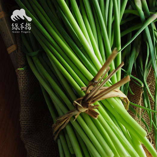 生态山东蒜薹/蒜苔（赠送半斤/1斤） | 合作生产*Eco-young garlic shoot | Coproduction 商品图4