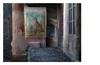 嘉德文库丨Inside Pompeii，走进庞贝古城 商品缩略图2