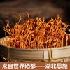 【严选】【金新农】【严格质检 每朵条形完整 肉头厚实 凉拌炖汤】湖北恩施耘丰鑫品虫草花100g/袋   （厂家直发） 商品缩略图0