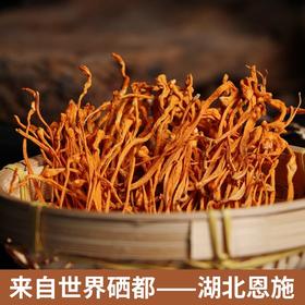 【严选】【金新农】【严格质检 每朵条形完整 肉头厚实 凉拌炖汤】湖北恩施耘丰鑫品虫草花100g/袋   （厂家直发）