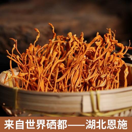 【严选】【金新农】【严格质检 每朵条形完整 肉头厚实 凉拌炖汤】湖北恩施耘丰鑫品虫草花100g/袋   （厂家直发） 商品图0