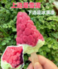 德华一串葡萄 商品缩略图0