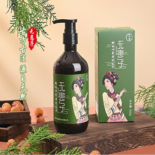 无患子侧柏叶洗发水  多味草本原浆浓缩 温和洗发水 500ml/瓶 商品图0