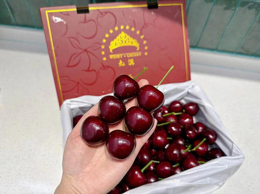 大连艺树家✈️俄8黑珍珠樱桃🍒纯甜又浓郁 商品图12