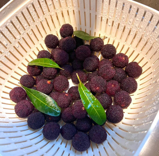 【云南高山✈️杨梅——口感浓郁、鲜味十足、杨梅风味浓郁！当季时令 商品图5