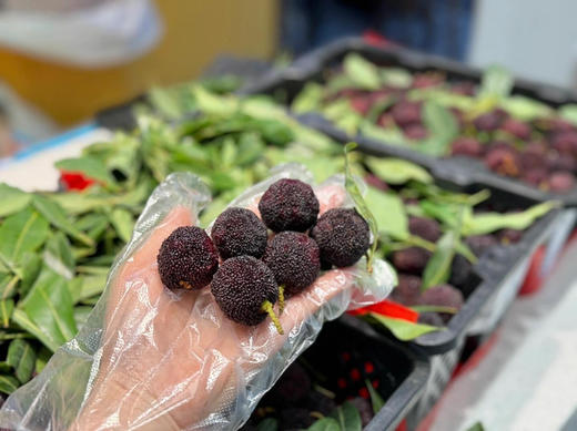 【云南高山✈️杨梅——口感浓郁、鲜味十足、杨梅风味浓郁！当季时令 商品图3