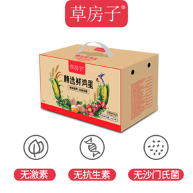 草房子 鲜鸡蛋40枚
