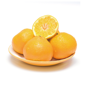 乡巴佬 耙耙柑（优品）约5kg